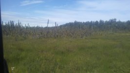 0804181406.jpg