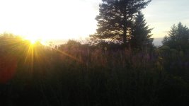 0804182211.jpg