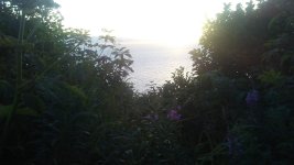 0804182214.jpg