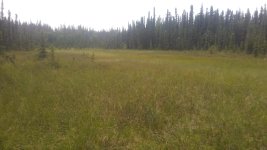 0805181451.jpg
