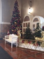20181128_071941.jpg