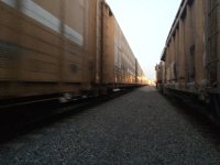 8DF46021-42F5-4D02-A7F2-9772E9353CD3.jpeg