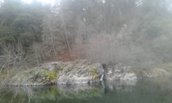 20180103_162059.jpg