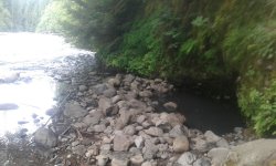 20180613_102220.jpg