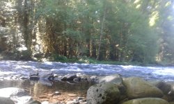 20180627_094425.jpg