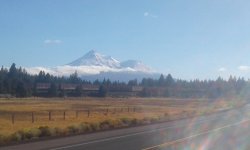 20180930_155302.jpg