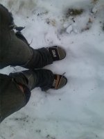 IMG_20170129_083927.jpg