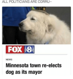 all-politicians-are-corru-veba-fox-news-minnesota-town-re-elects-3579976.png