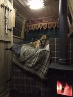 IMG_20190204_003109359.jpg