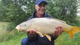 woodlands fish log.jpg