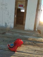 IMG_20190313_072826.jpg