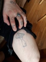 20190318_151717.jpg