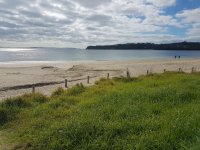 20190502_115117.jpg