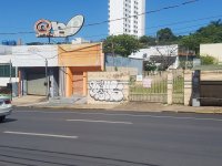 20190505_113510.jpg