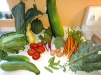 gardenproduce.jpg