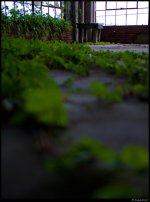 3909533090_8ba705ace7.jpg