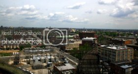 IMG_8217.jpg