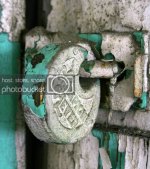 IMG_8241.jpg
