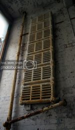 IMG_8278.jpg