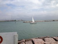 IMG_0247.jpg