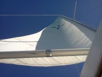 IMG_20130201_122701.jpg