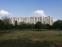 IMG_20190827_162816.jpg