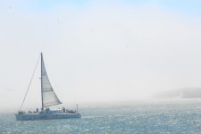 48672718157_5cf4938220_c.jpg