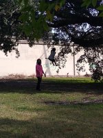 IMG_20191111_095456116.jpg