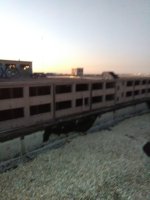 IMG_20191109_172725.jpg