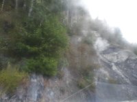 20191204_074437.jpg