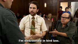 timeenderlawyer.png