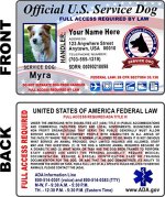 8142DBrPggL._AC_SX466_.jpg