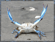 tumblr_oy5et6teDv1rfb290o1_400.gif