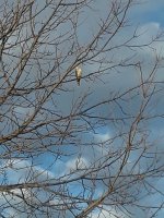 20191203_152806.jpg