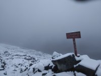 IMG_20190116_101203.jpg