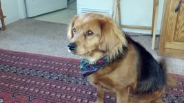 image00000234.jpeg