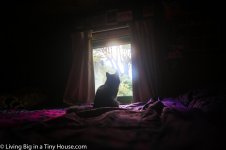 MAGICAL-GYPSY-VARDO-CARAVAN-5-of-8.jpg