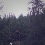 8302532C-8B7C-4898-9308-58C2F2A87CE6.jpeg