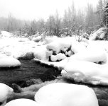 B92EBDD7-01A7-415D-961D-5D4F289438A8.jpeg