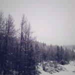 539FC48D-6B4F-4770-9297-A68319E296A7.jpeg