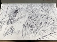 A2811047-F4DB-4F87-8E9F-AF2C4781A3C5.jpeg