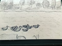 8AAB768B-2FD7-4F8E-9CC2-B5825B323E81.jpeg