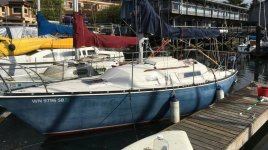 IMG_20200808_173020.jpg