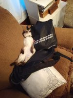IMG_20200819_214202_549.jpg