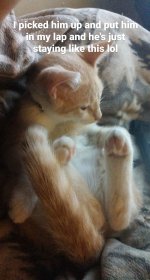 IMG_20200819_214121_623.jpg