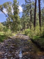 N Fork Mimbres River.jpg