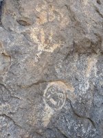 MVIMG_20201009_154101.jpg