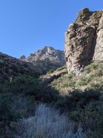 MVIMG_20201016_092131.jpg
