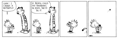 calvin hobbes.jpg
