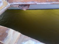 20201111_120306.jpg